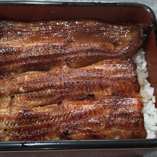 うなぎ 和田平_1