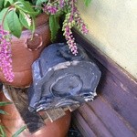 蕎麦喰い処 利めい庵 - 