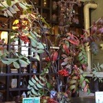 蕎麦喰い処 利めい庵 - 