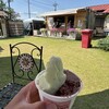 JAPANESE GELATERIA ASANOHA
