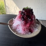 うちゅうねこ - 