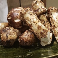 日本料理 太月 - 