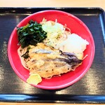 名代 富士そば - ■ 冷し なす天 おろし そば・うどん、630円