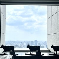 松阪牛 よし田 - 