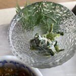 TERRACE - 