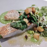 recte - イシナギというお魚にクレソンのソースやフュメ・ド・ポワソン