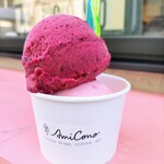 アミ コーノ - ワイルドブルーベリーとプラム