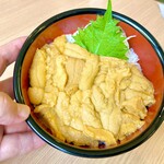 みさき - 生うに丼