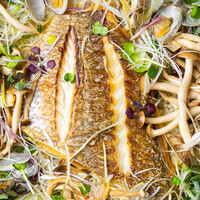 コース一覧 : レストラン トヨ トーキョー （Restaurant TOYO Tokyo