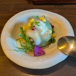 釀造科 oryzae - 