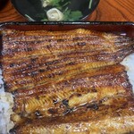 うなよし 上土店 - 