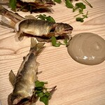 アルカナイズ - 