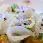 Hachihare - ハーブの花