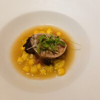 cenci - 