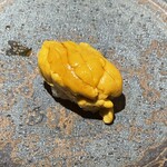 壮士 - 赤雲丹のアップ