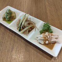 NOGI - 
