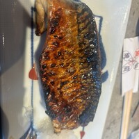 圓 弁柄 渋谷ストリーム - 