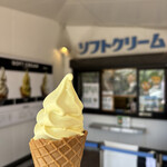 道の駅 サザンセトとうわ 売店 - 料理写真: