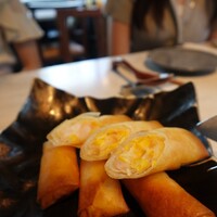 CINA New Modern Chinese - 