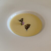 イタリア料理 リストランテ フィッシュボーン - 