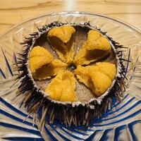 鮨と天草大王 天音 - 