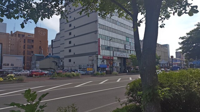 Dining Bar 碧 - 釧路（バー）の写真