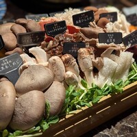 Shangri-La's secret ROPPONGI - 