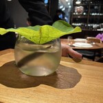 ル スプートニク - 