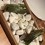 ル スプートニク - 