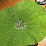 ル スプートニク - 