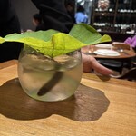 ル スプートニク - 