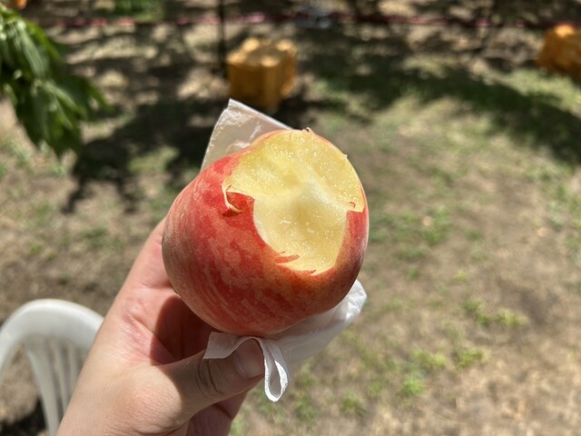 がぶりガーデン - 会津本郷（その他）の写真