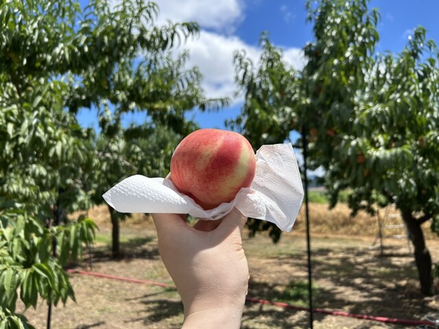 がぶりガーデン - 会津本郷（その他）の写真