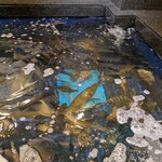 玄海の活魚と糸島直送の食 博多居酒屋 どげん海 - 