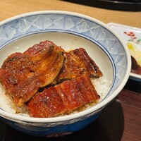 ひつまぶし名古屋備長 マロニエゲート銀座1店 - 