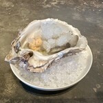 ドンブラボー - 