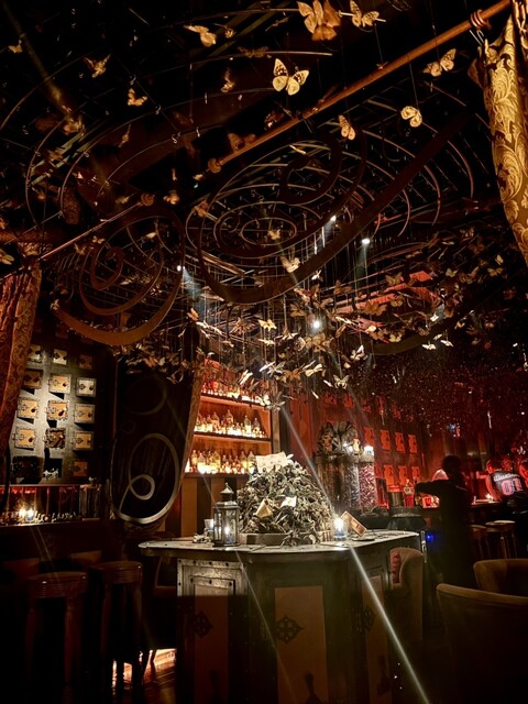 ティル・ナ・ノーグ （【旧店名】アイアンフェアリーズ ギンザ