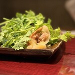 アガリコ餃子楼 - パクチージェノベーゼ餃子・断面