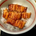 瀬戸内味覚処 芸州 - ミニ穴子丼