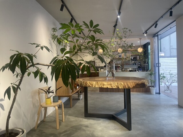 roku flowers and coffee photo 4