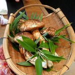 じどりや 穏座 - 松茸