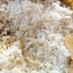 Ceylon spicy food - 短粒種のキーリサンバライス