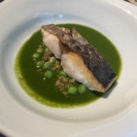 セルサルサーレ - 