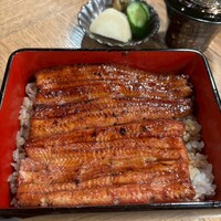 うなぎ 目白ぞろ芽 - 