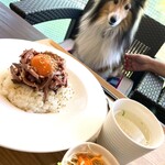 マークスカフェ - ローストビーフのユッケ丼¥1200込+名古屋コーチン卵黄¥100(2025/5時点)