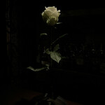 バー・ラ・ユロット - 