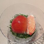 スガラボヴィー - 