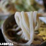 田舎うどん てつ - 2014年9月　うどん　アップ