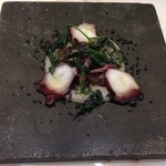 クイントカント - タコ