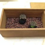 クイントカント - 馬肉